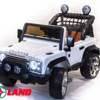 ელექტრო მანქანა LR DK-F006, თეთრი