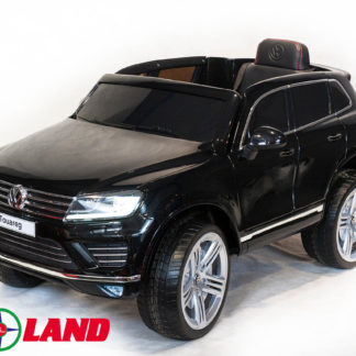 ელექტრო მანქანა BMW X6