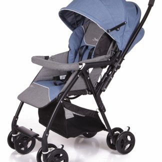 ბავშვის სასეირნო ეტლი Neo Plus საერთო სახელური, ლურჯი