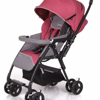 ბავშვის ეტლი Neo Plus საერთო სახელური, შინდისფერი