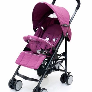 ბავშვის ეტლი, ლერწმი Concept, ღვინო