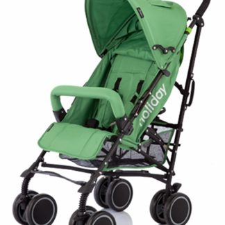 ბავშვის ეტლი Walking Stick Holiday, Pistacio