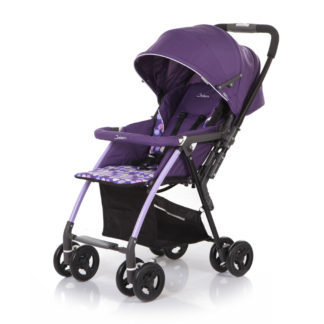 ბავშვის ეტლი Neo Plus