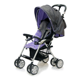 ბავშვის ეტლი Elegant, მუქი ნაცრის/ მეწამული, ზოლები