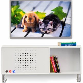 ავეჯი სახლისთვის - სტერეო და თეთრი ტელევიზორი