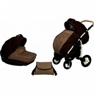 ბავშვის ეტლი Verona 2 in 1, 17 A