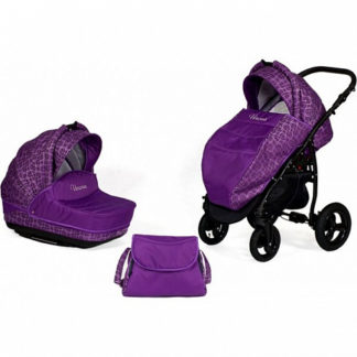 ბავშვის ეტლი Verona 2 in 1, 2 B